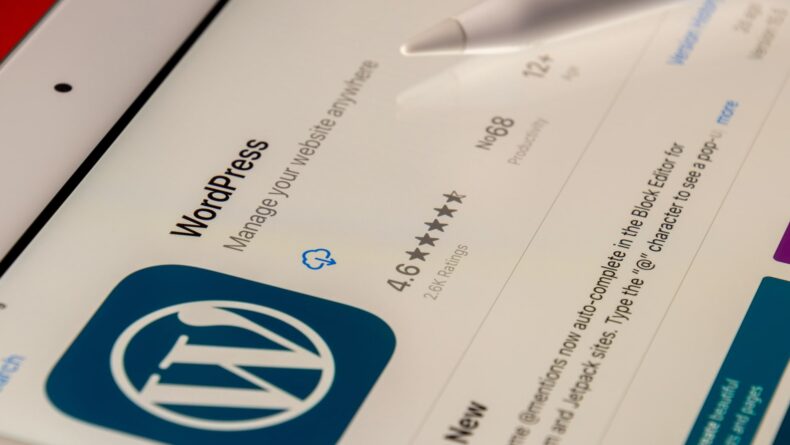 wordpress başlangıç