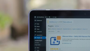 wordpress cms